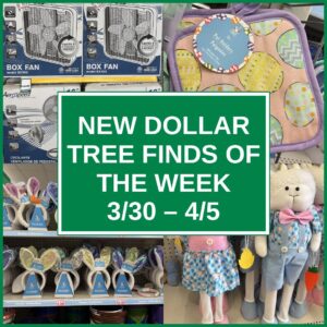 New Dollar Tree Finds Of The Week (3/30 – 4/5)