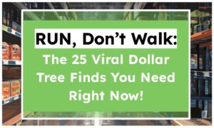 RUN, Don’t Walk: The 25 Viral Dollar Tree Finds You Need Right Now!
