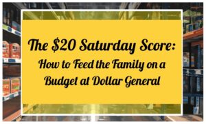 The $20 Saturday Score: How to Feed the Family on a Budget at Dollar General