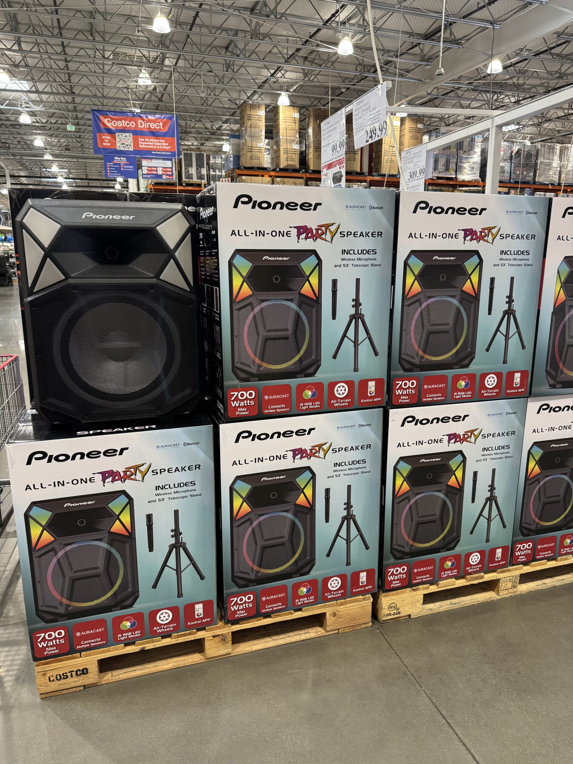 Pioneer All-In-One Party Speaker