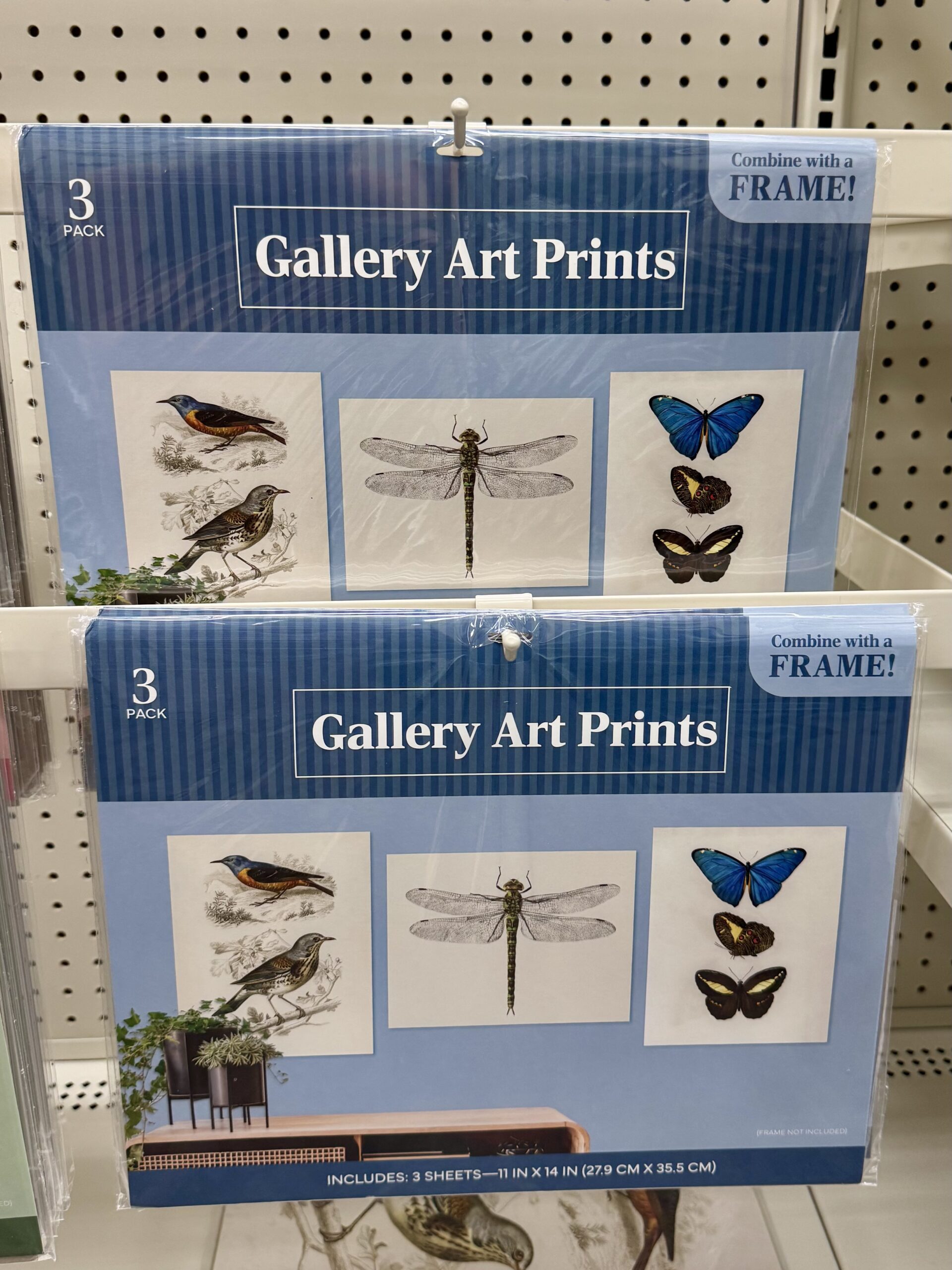 Gallery Art Prints - in store