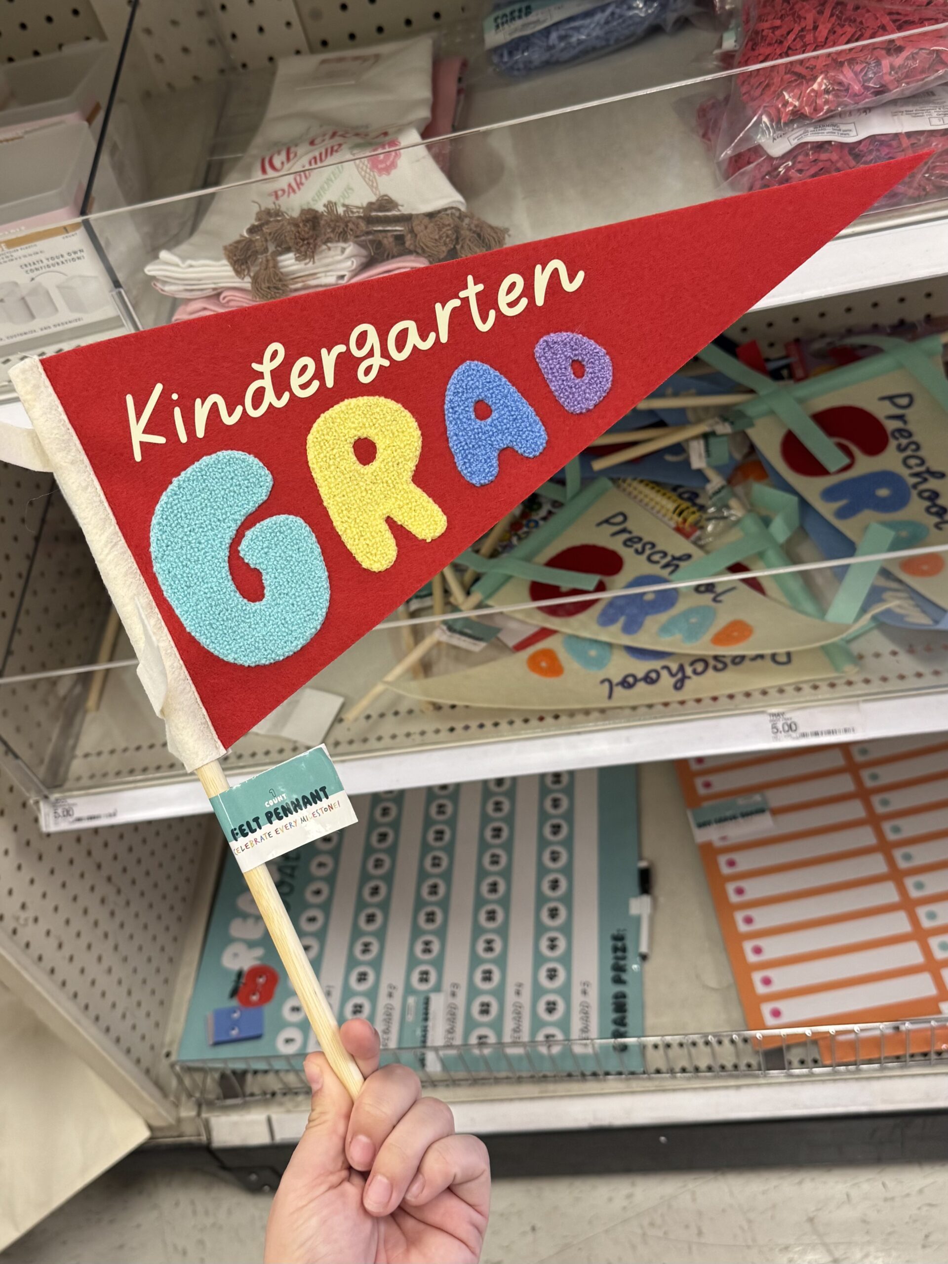 Felt Pennant - in store