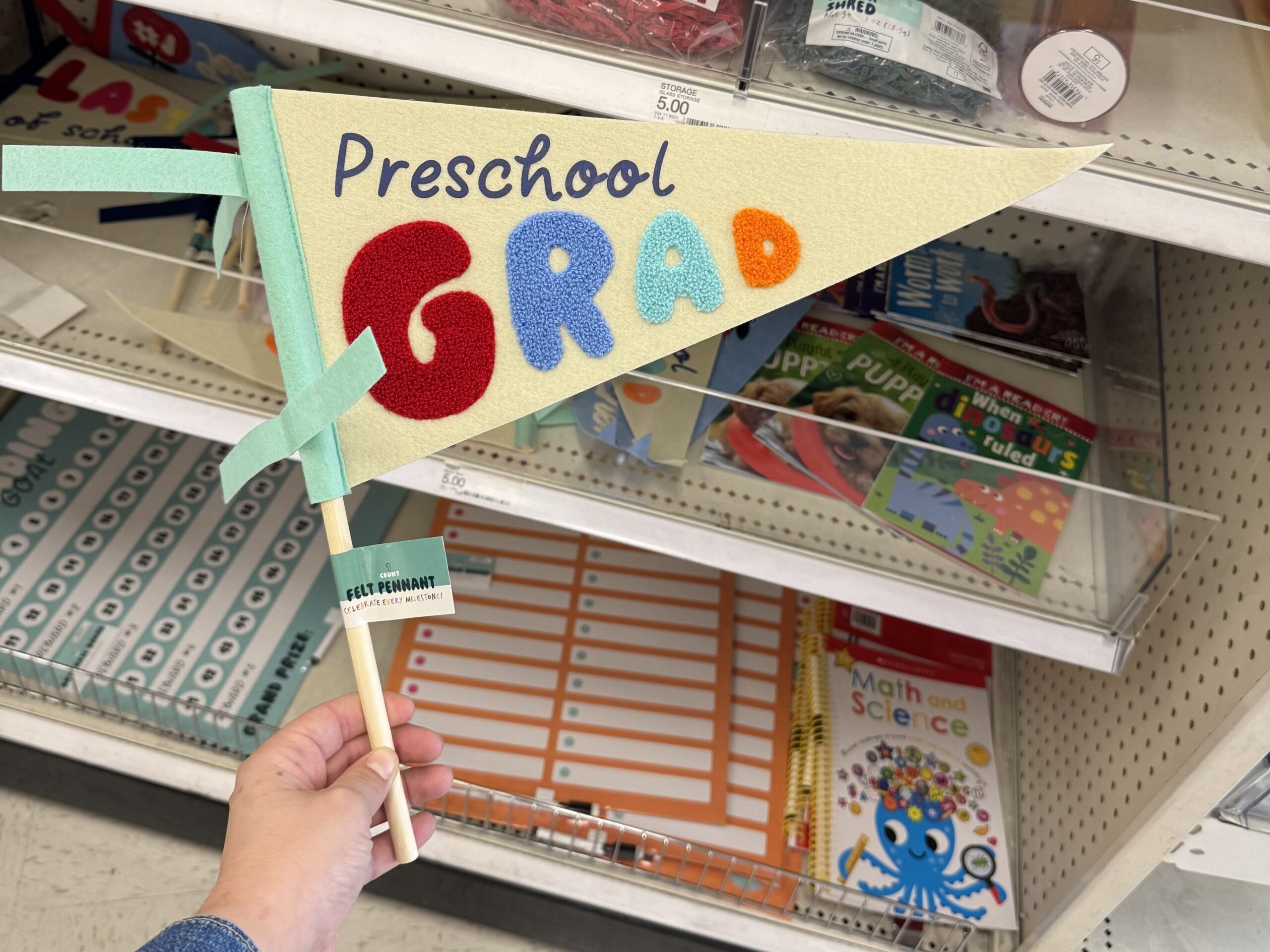 Felt Pennant - in store