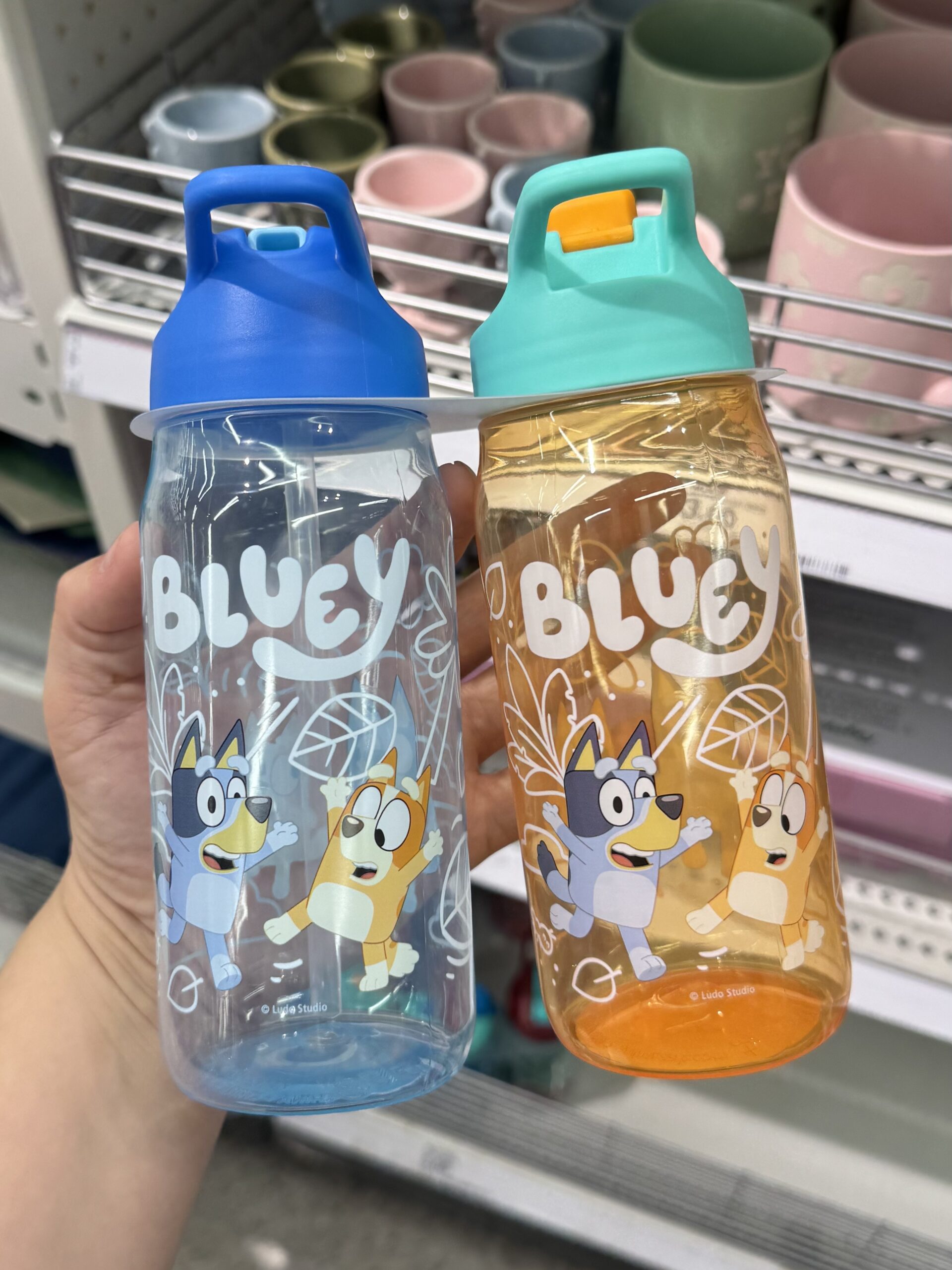 Bluey Water Bottle - in store