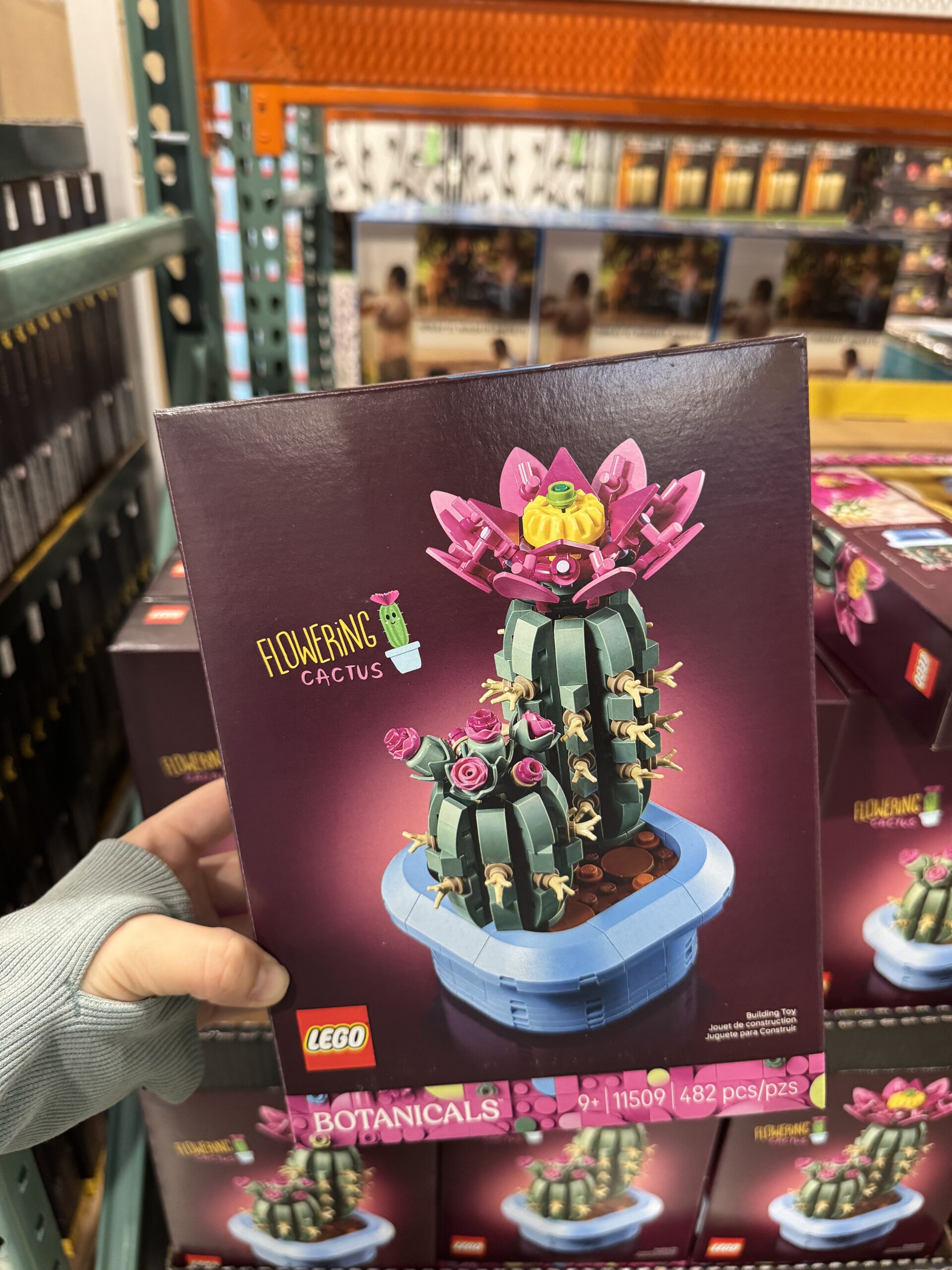 LEGO Botanicals Flowering Cactus