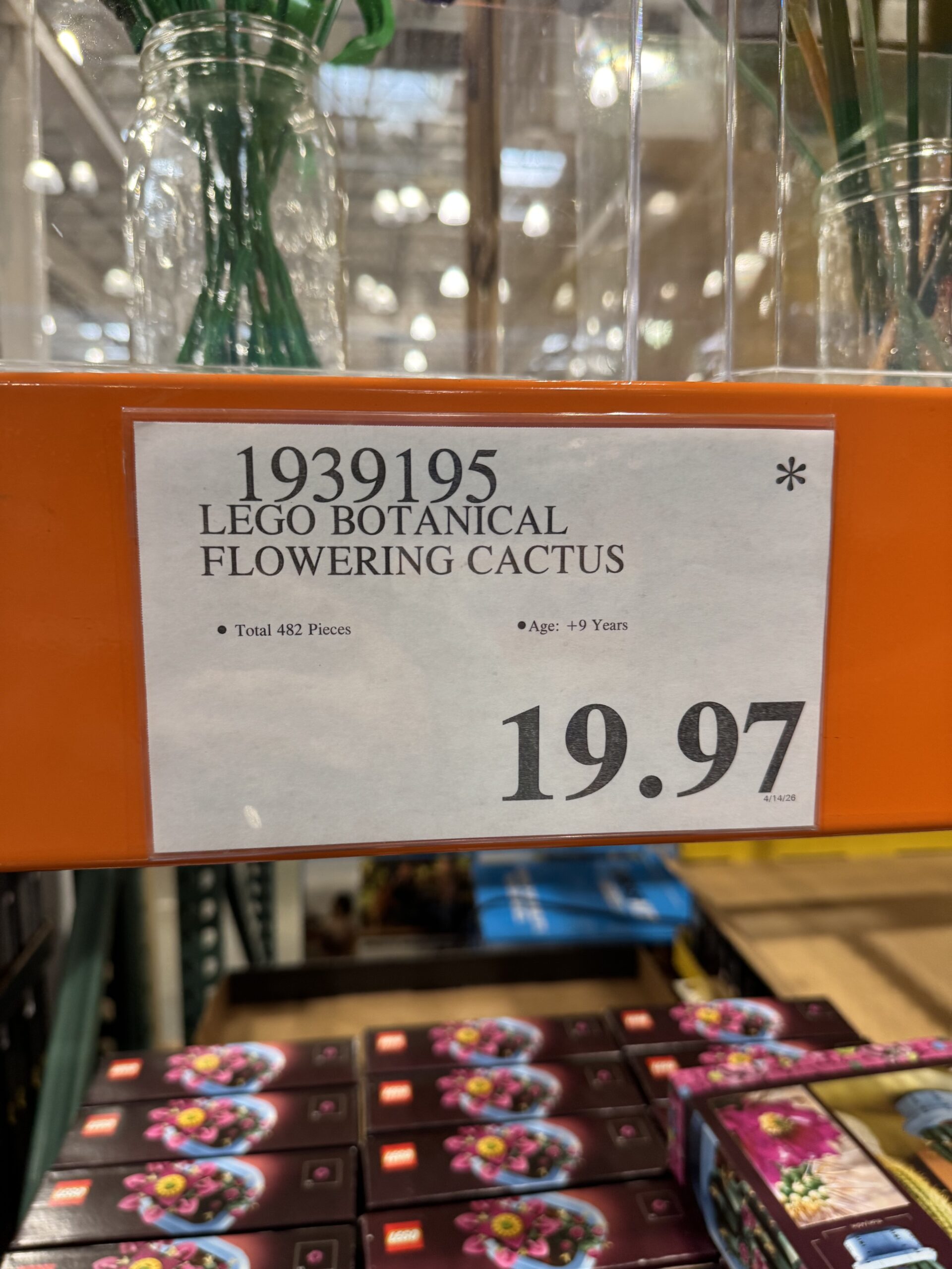 LEGO Botanicals Flowering Cactus - price tag