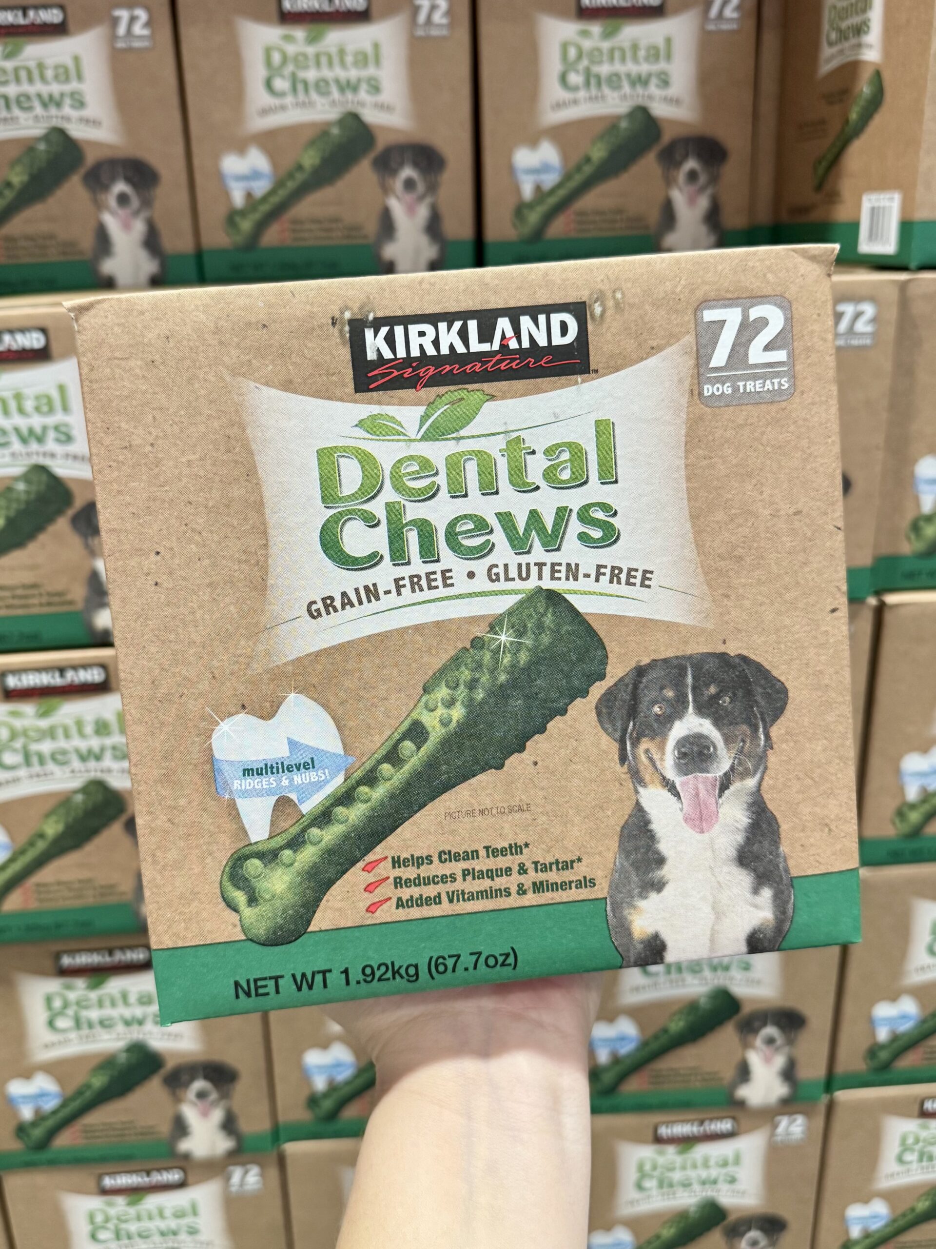 Kirkland Signature Dental Chews