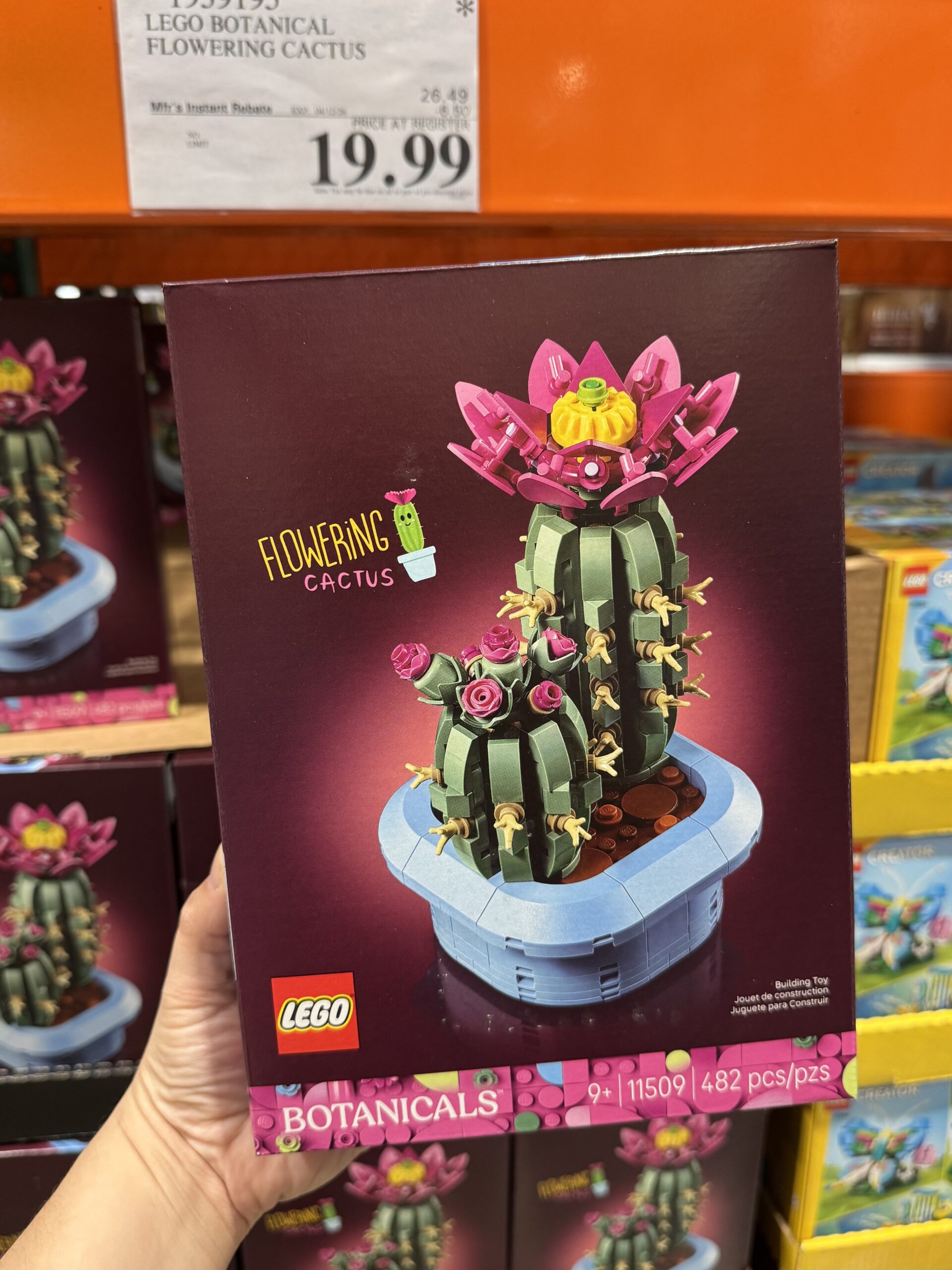LEGO Botanicals Flowering Cactus