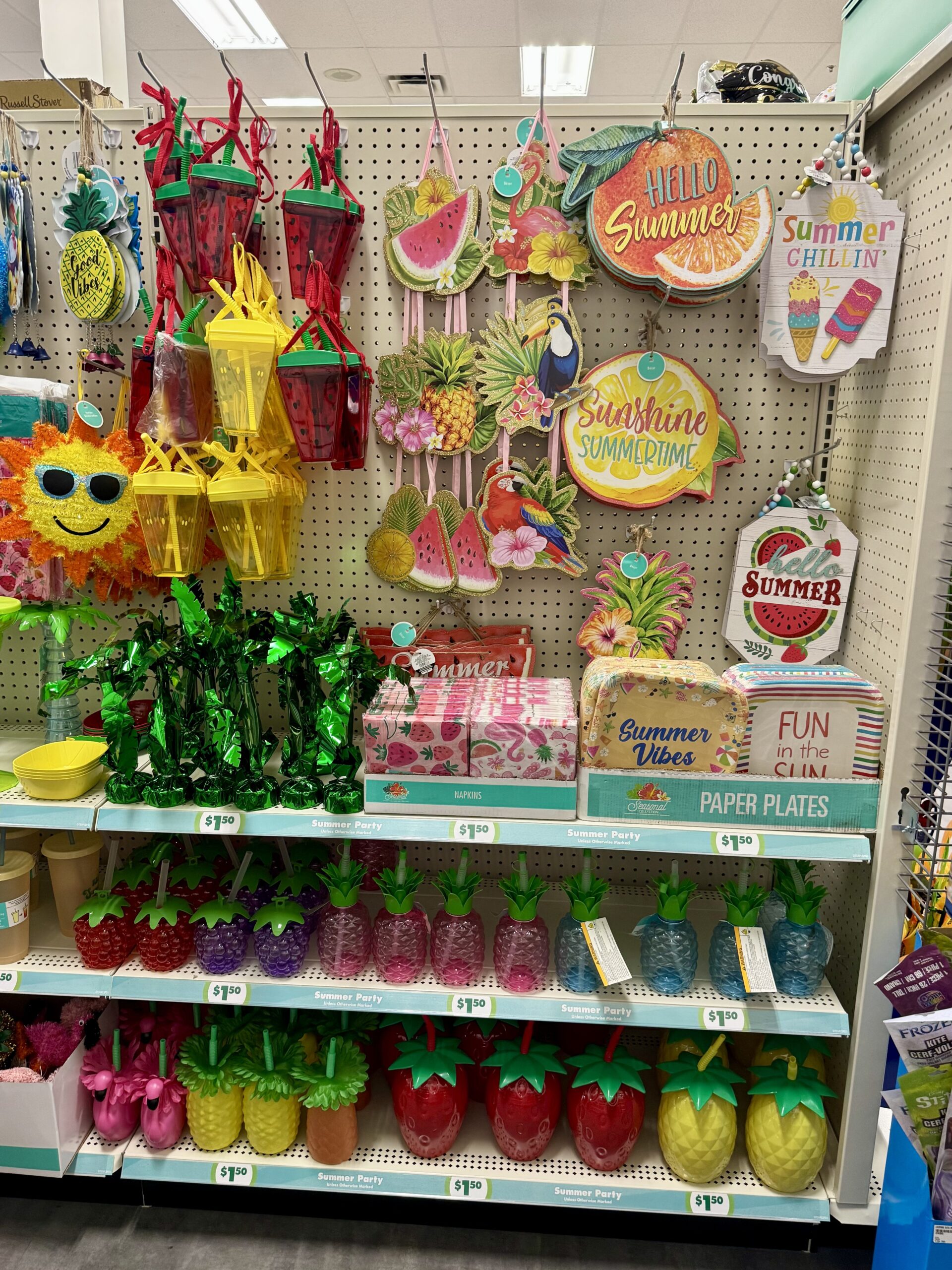 Summer Party Supplies - in store