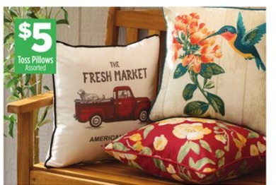 Toss Pillows