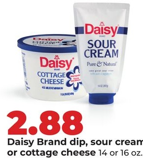 Daisy Brand dip, sour cream or cottage cheese