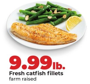 Fresh catfish fillets