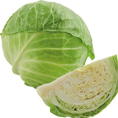 Green Cabbage