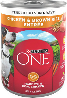 Purina ONE Wet Dog Food