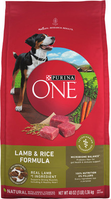 Purina ONE Dry Dog Food