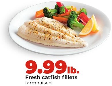 Fresh catfish fillets