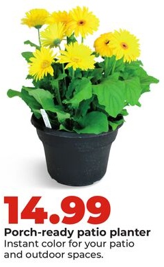 Porch-ready patio planter
