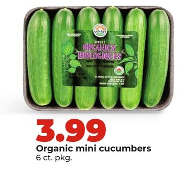Organic mini cucumbers