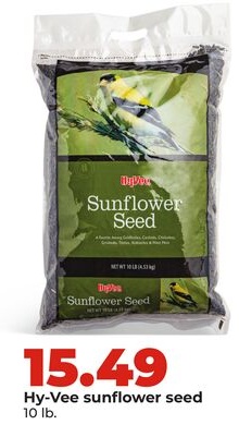 Hy-Vee sunflower seed