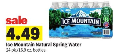 Ice Mountain Natural Spring Water