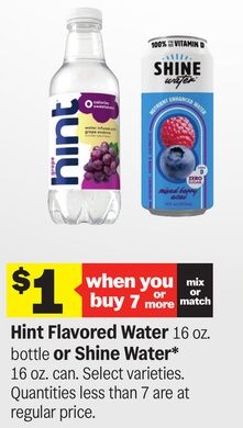 Hint Flavored Water 16 oz. bottle or Shine Water*