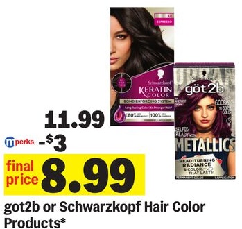 got2b or Schwarzkopf Hair Color Products*