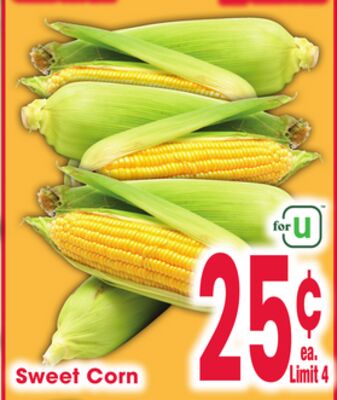 Sweet Corn