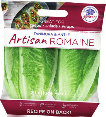 Artisan Romaine