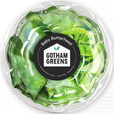 Gotham Greens Baby Butterhead Lettuce