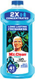 Mr. Clean Magic Erasers or Cleaner