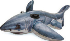 Summer Inflatables