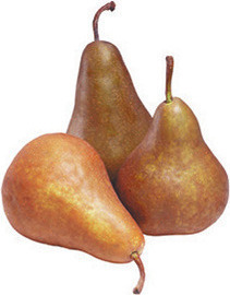 Washington D'Anjou, Red or Bosc Pears