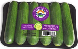 Mini Cucumbers