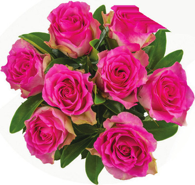 Overjoyed Boutique Simply Rose Bouquet