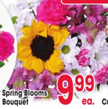 Spring Blooms