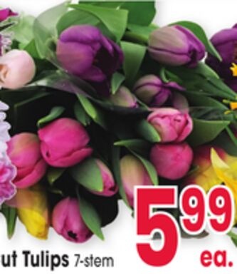 Cut Tulips