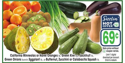 California Minneolas or Navel Oranges lb., Green Kiwi ea., Jackfruit lb., Green Onions bunch, Eggplant lb., or Butternut, Zucchini or Calabacita Squash lb.