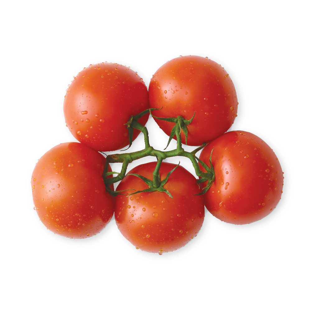 Tomatoes on the Vine