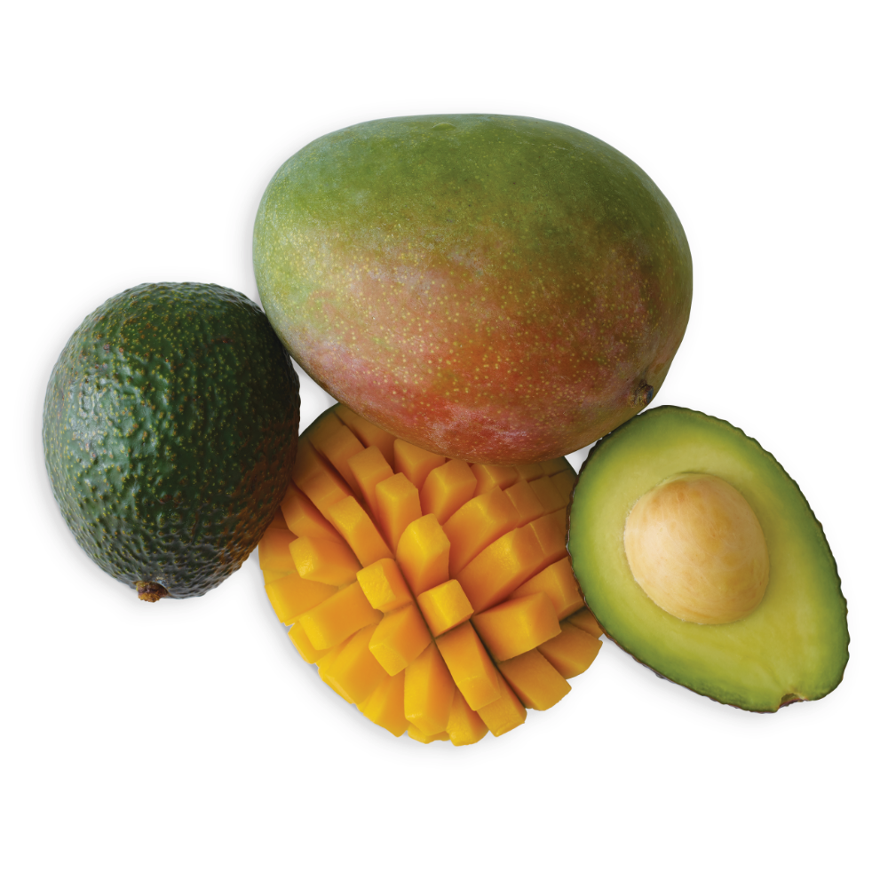 Large Avocados or Mangos