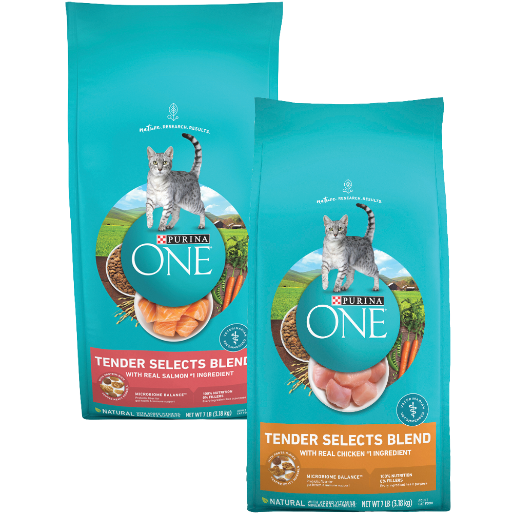 Purina One Dry Cat Food