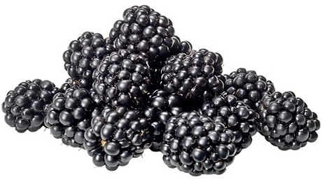 Select fresh blackberries