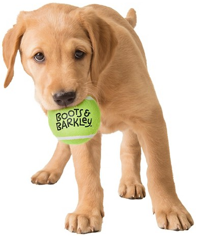 Boots & Barkley 4-pk. squeaker tennis ball dog toys