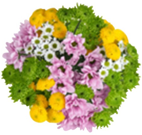 Good Little Garden™ jumbo butterfly poms bouquet