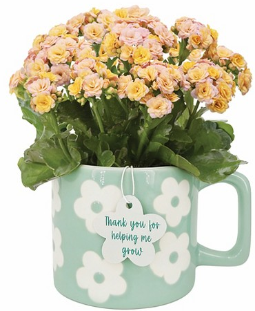 Good Little Garden™ spring mugs flowers