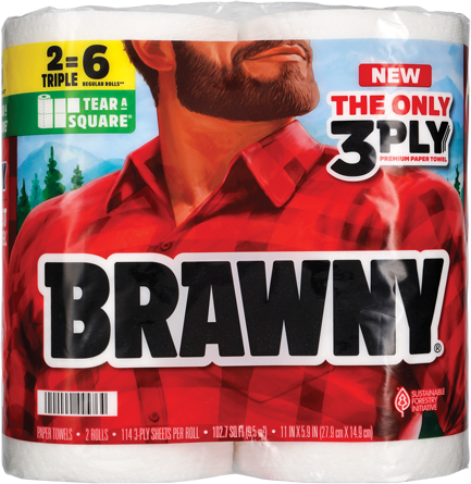 2-Pack Brawny Paper Towels