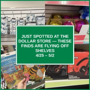 Just Spotted at the Dollar Store — These Finds Are Flying Off Shelves (4/25 – 5/2)