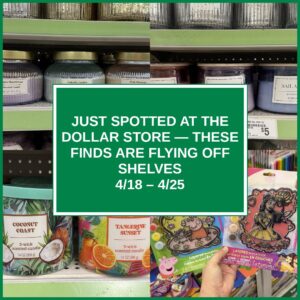 Just Spotted at the Dollar Store — These Finds Are Flying Off Shelves (4/18 – 4/25)