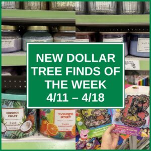 New Dollar Tree Finds Of The Week (4/11 – 4/18)