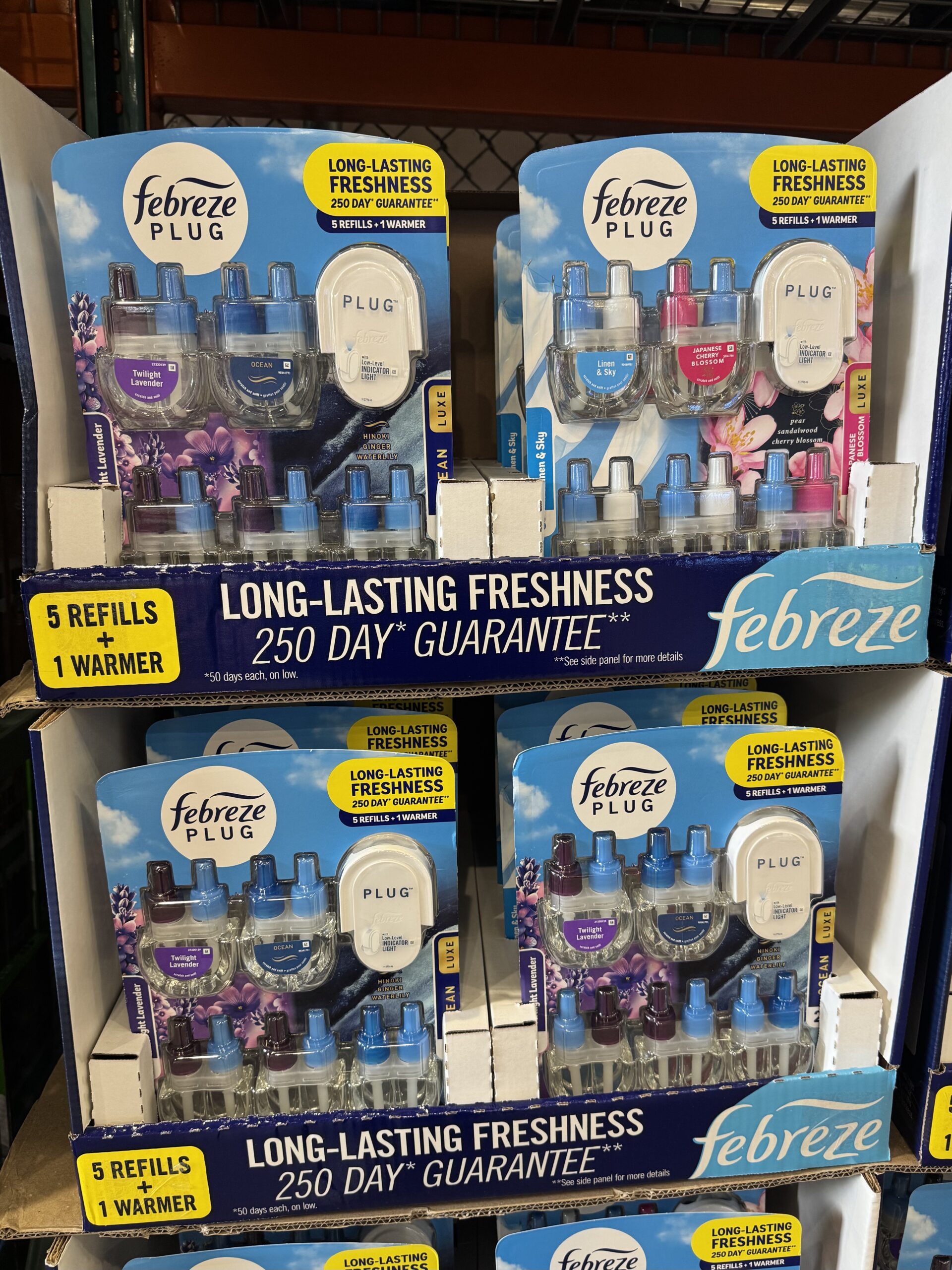 Febreze Plug Starter Kit