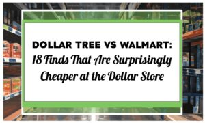Dollar Tree vs. Walmart: 18 Finds That Are Surprisingly Cheaper at the Dollar Store